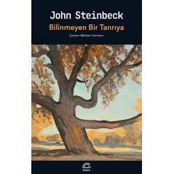 Bilinmeyen Bir Tanrıya