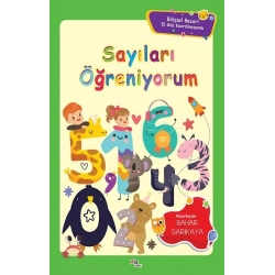 Bilişsel Beceri El Göz Koordinasyonu -Sayıları Öğreniyorum
