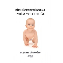 Bir Hücreden İnsana Evrim Yolculuğu