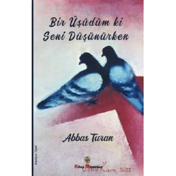 Bir Üşüdüm ki Seni Düşünürken