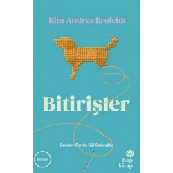 Bitirişler
