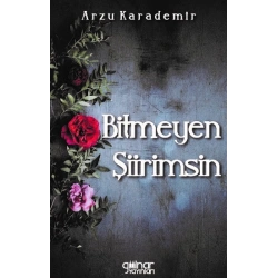 Bitmeyen Şiirimsin