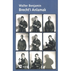 Brechti Anlamak