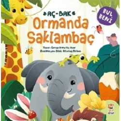 Bul Beni Ormanda Saklambaç (Ciltli)