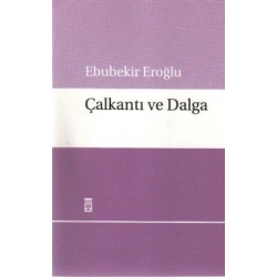 Çalkantı ve Dalga
