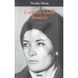 Çavlanın İçinde Sessizce