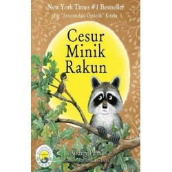Cesur Minik Rakun