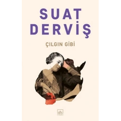 Çılgın Gibi