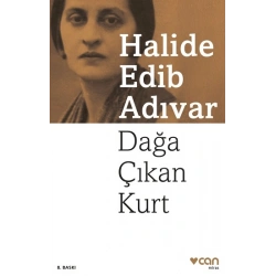 Dağa Çıkan Kurt