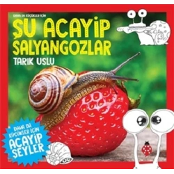 Daha da Küçükler İçin Şu Acayip Salyangozlar