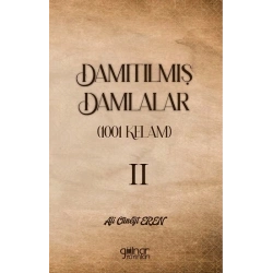 Damıtılmış Damlalar (1001 Kelam) II