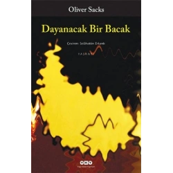 Dayanacak Bir Bacak