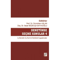 Denetimde Seçme Konular 4