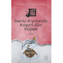 Deniz Kıyısında Koşan Ala Köpek
