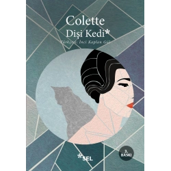 Dişi Kedi