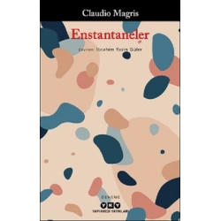 Enstantaneler