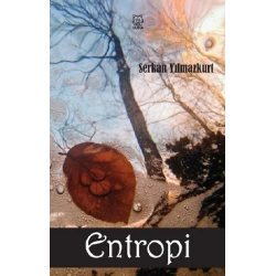 Entropi