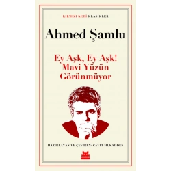 Ey Aşk, Ey Aşk! Mavi Yüzün Görünmüyor