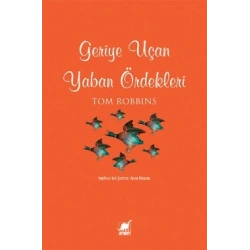 Geriye Uçan Yaban Ördekleri