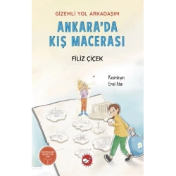 Gizemli Yol Arkadaşım - Ankara’da Kış Macerası