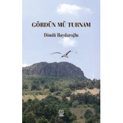 Gördün mü Turnam