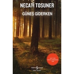 Güneş Giderken