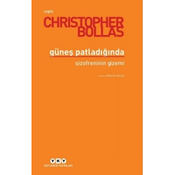 Güneşi Patladığında - Şizofreninin Gizemi