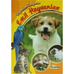 Hayvanları Tanıyorum - Evcil Hayvanlar