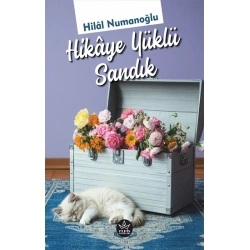 Hikaye Yüklü Sandık