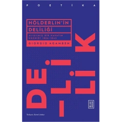 Hölderlinin Deliliği