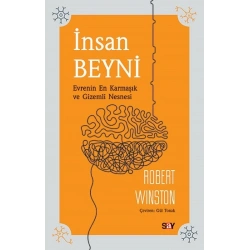 İnsan Beyni