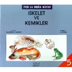 İskelet ve Kemikler