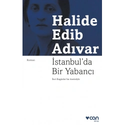 İstanbulda Bir Yabancı