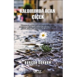 Kaldırımda Açan Çiçek