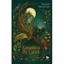 Karanlıkta Bir Çatlak