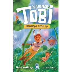 Karınca Tobi ve Ormandaki Gizemli Işık