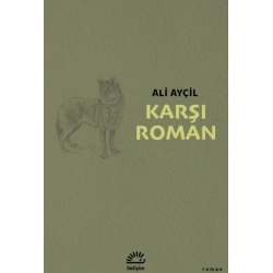 Karşı Roman
