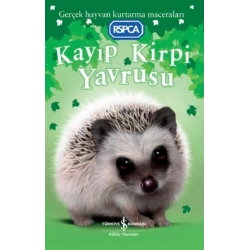 Kayıp Kirpi Yavrusu