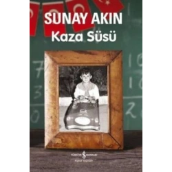 Kaza Süsü