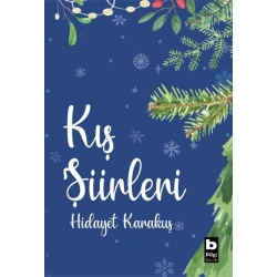 Kış Şiirleri