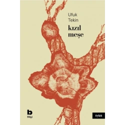 Kızıl Meşe