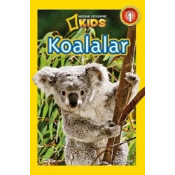 Koalalar