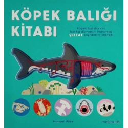 Köpek Balığı Kitabı (Ciltli)