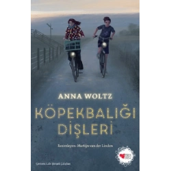 Köpekbalığı Dişleri