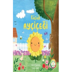 Küçük Ayçiçeği