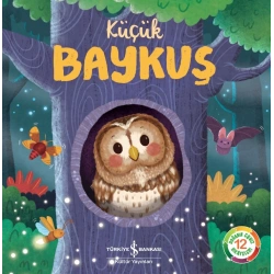 Küçük Baykuş