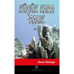 Küçük Kara Balık