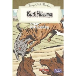 Kurt Hücumu