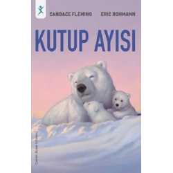 Kutup Ayısı
