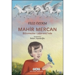 Mahir Mercan - Bilinmezler Labirenti’nde